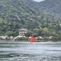広島の宮島に餌やりツアー