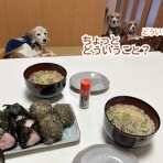 ガオだらけな日々　