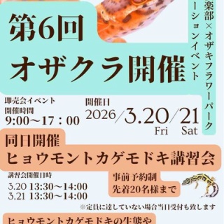 爬虫類倶楽部仙台店ブログ