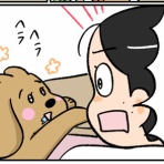 小林おでぶろぐ。