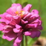 『ガイダンス（252）2025年9月』の画像