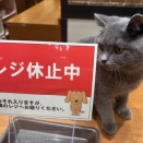 役に立ちたかった😿