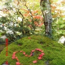 新潟の紅葉３日間旧齋藤家別邸　１１月１５日