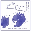 今月のお買い物