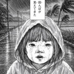 みいちゃん、田んぼの様子を見に行く