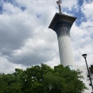 花博とペチュニアと