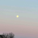 スノームーン？