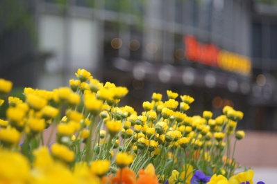 CHIYOKO SUPER ROKKOR 5cm f2.8 C(Lマウント) : 会計士によるバリュー