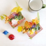 四つ葉のくまさんの癒しのお花、時々お料理日記