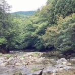 石になる地のふしぎ