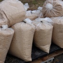 今年もたくさんもみ殻ゲット！