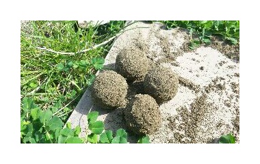 『ちょっと一息☆子どものあそび☆』の画像