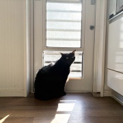 苦しそうな体勢で寝るアヤちゃん