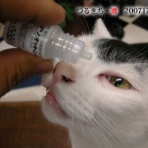 裏つるきち