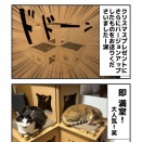 新・爪とぎハウス！！