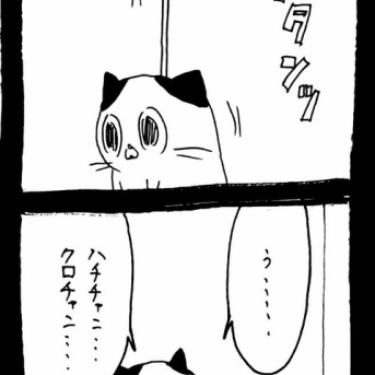 選挙に出馬しよう75