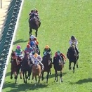 【競馬】戸崎圭太騎手が3月28日～4月5日まで騎乗停止　G1高松宮記念＆大阪杯は騎乗できず