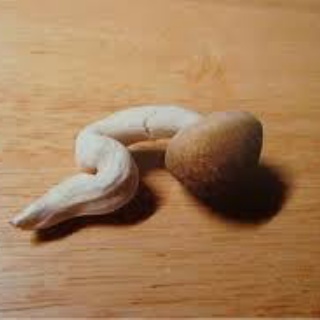 凹凸ちゃんねる　発達障害・生きにくい人のまとめ