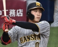 【悲報】今日の阪神-広島、遊撃手は木浪聖也でええんか？