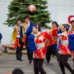 第６回 Yosakoiソーラン道南大会 エンタのズブ様