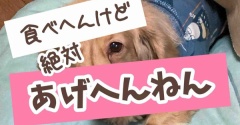 おばちゃん的思考。