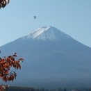 11月4日からのミニ旅行