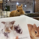 壁掛けカレンダープレゼント中！！