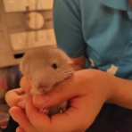 ミリオナブログ