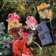 【ガーデニング】来る日も来る日もかき集め、そしてとうとう庭じまい！