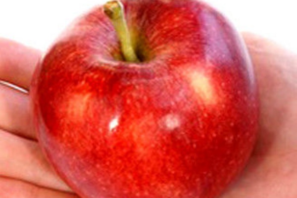 希少な蜜入りりんご高徳りんごが通販で買えるショップ