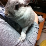 パンナ　コッタ　パンナ