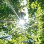 中杉　弘のブログ