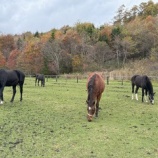 『雪虫』の画像