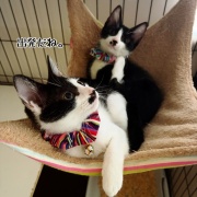 栄華、栄冠のお届けでした♪