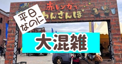 あかレンガでわんさんぽ。