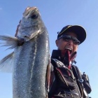 �ؤ���ˤ���‼️�ǥ����ޥ�����Х餷����😫💦�����󥰎��Ǥ�✨�٤β���