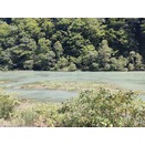 玉川温泉　１３