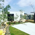 ���� Green Life