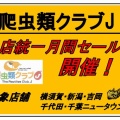 【爬虫類クラブＪ全店！月間セール開催！！】