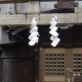 ミヤマキリシマが咲き誇るところがあるらしい山へドライブに出かけた。 途中の寂れた神社に寄って戻ってきたら後部座席に・・・【再】