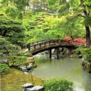 *先立たぬ　悔いの八千度　悲しきは　流るる水の かへり来ぬなり