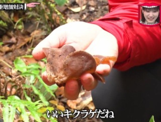 ラーメンにきくらげ入れたやつ死刑