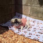 らっき～先輩と弟子のぷく(笑)