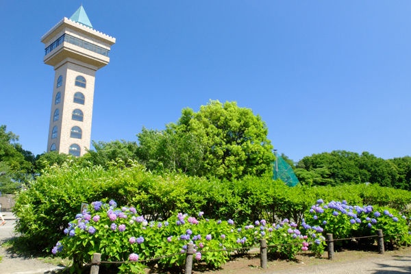 花ぽたカメラ 相模原駅