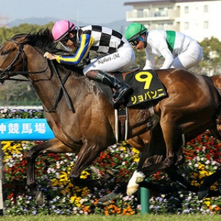 ☆うまなみ・競馬にゅーす速報