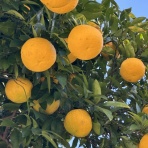 MUSIC MAKES US HAPPY!