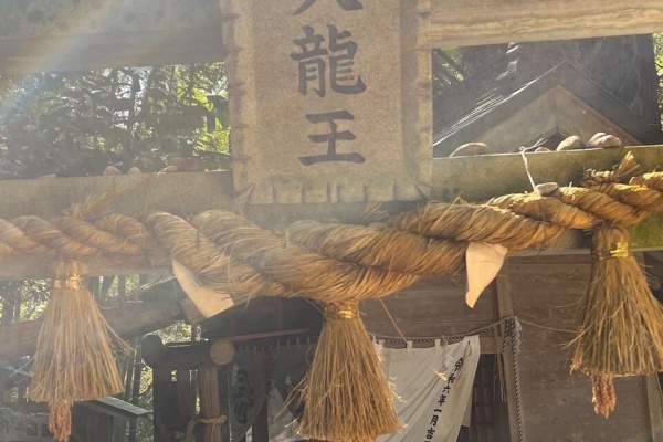 ぽっかぽか様専用❀桃龍桃鳳凰❀新月の祈り