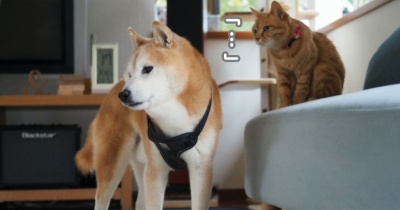 曇天の彼岸入り