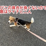 ガオだらけな日々　