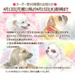 あとりえピノコ